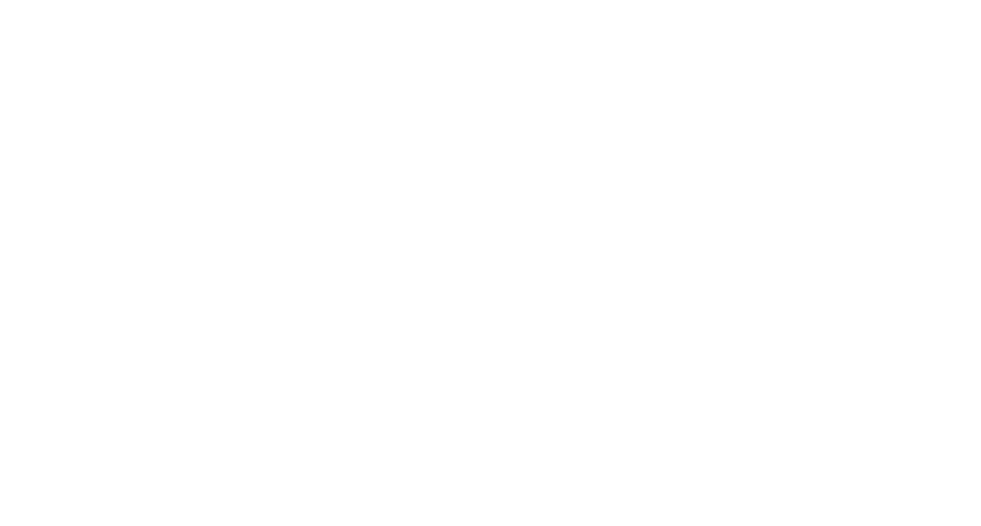 24H LEMANS